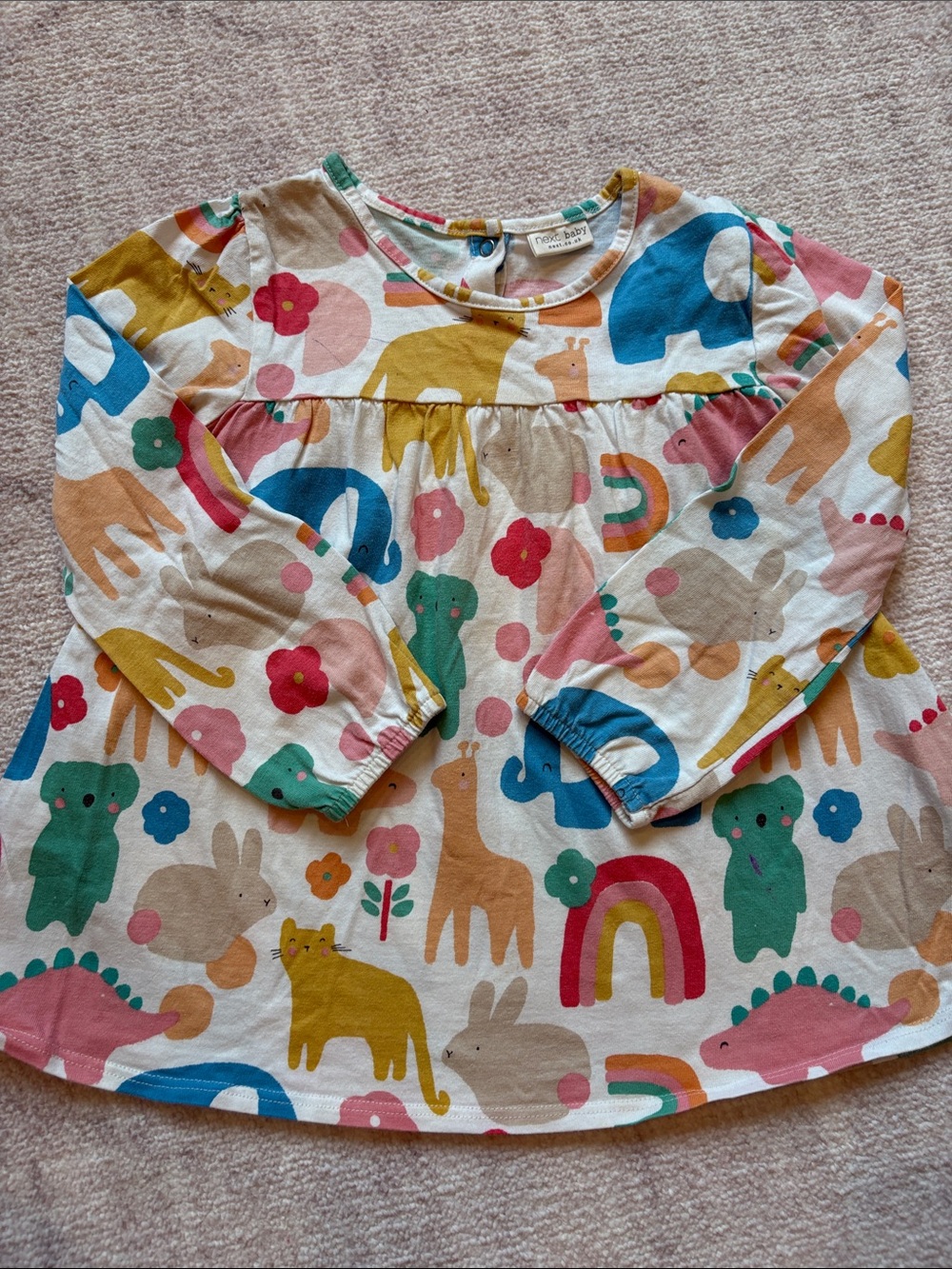 next Multicolor Animal & Rainbow Long-Sleeve Top